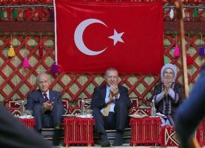 گزارش، انتقاد از نگاه سیاسی به تاریخ ترکیه
