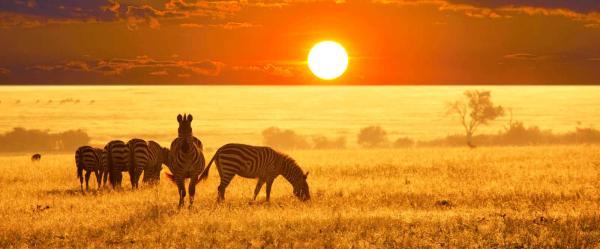 جاهای دیدنی آفریقا برای آنان که حیات وحش دوست دارند